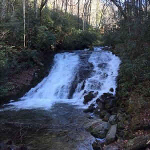 Meet your Posher, Hailey